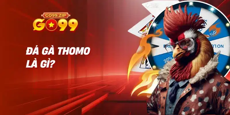Đá gà Thomo là gì? 