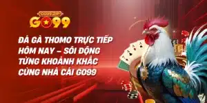 Đá gà Thomo trực tiếp hôm nay – Sôi động từng khoảnh khắc cùng nhà cái Go99